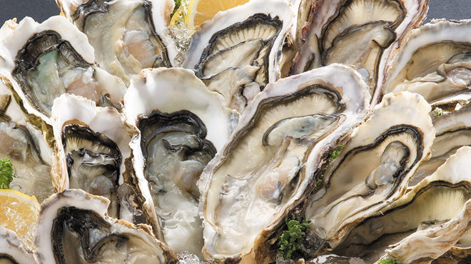 魚吉 - メイン写真: