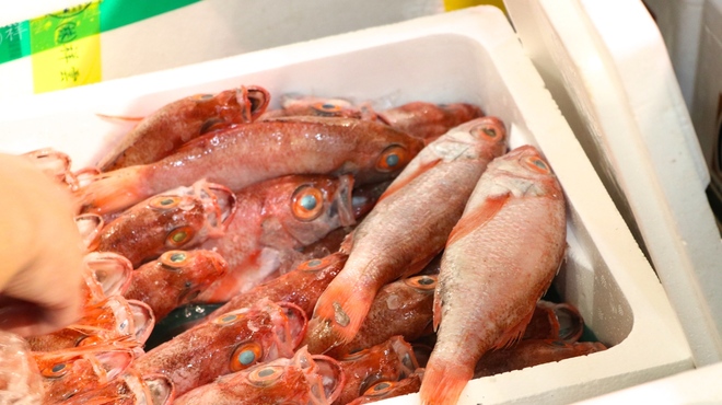 寿司 すみたに - その他写真:下関の台所、唐戸市場で季節の食材を毎日仕入れています
