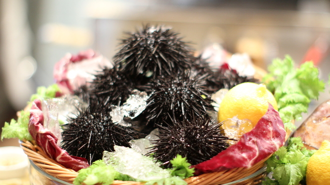 ボガマリ・クチーナ・マリナーラ - メイン写真: