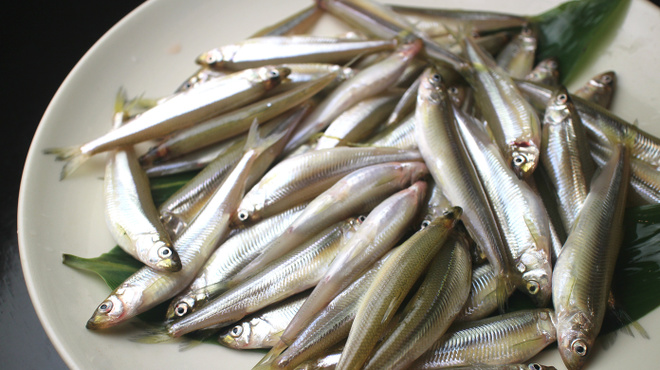 魚棚ふみ文 - メイン写真:
