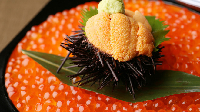 葉四季 - メイン写真: