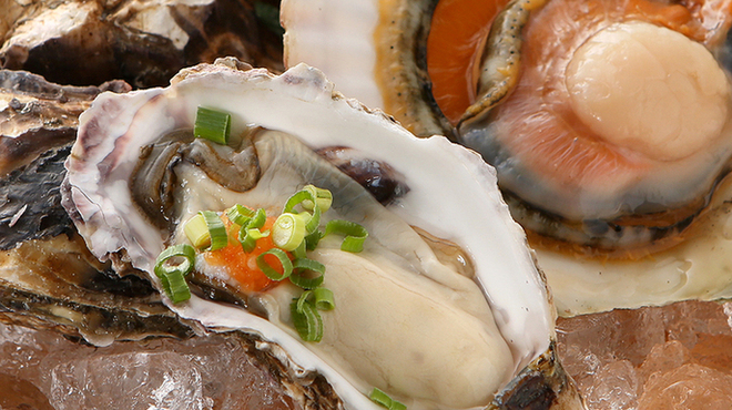 サカナズキ。 - メイン写真: