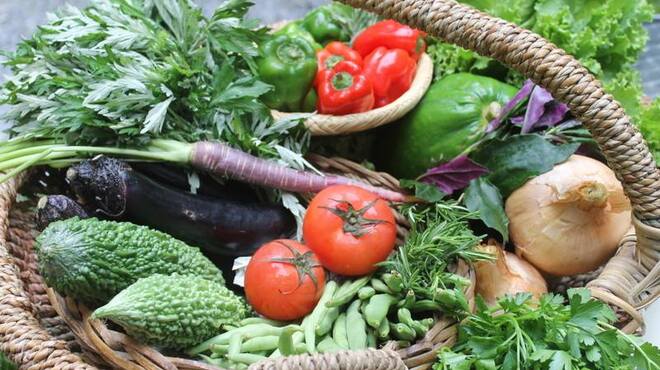 浮島ガーデン - メイン写真: