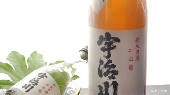Kyou Ryouri Ujigawa Ryokan - ドリンク写真:日本酒も豊富に取り揃えています。こちらは長生自得『宇治川』