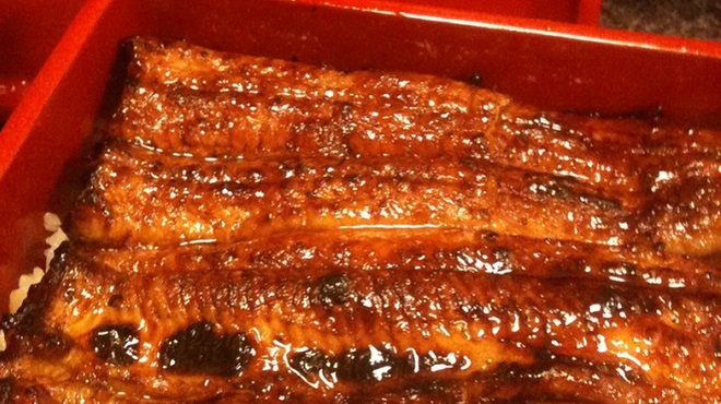 うなぎ 魚政 うおまさ 四ツ木 うなぎ 食べログ うなぎ 魚政 うおまさ 四ツ木 うなぎ 食べログ