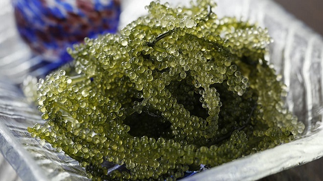 うーみや - メイン写真: