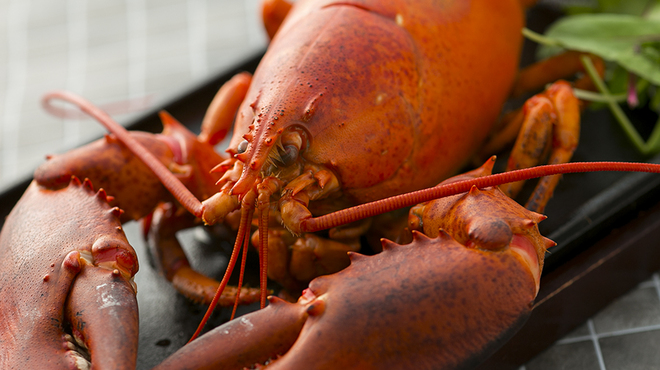 鉄板ビストロ Omar's - メイン写真: