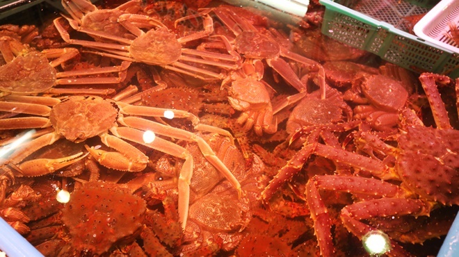 鮮魚食堂 かわしま - メイン写真: