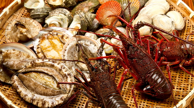 黒潮ダイニング - メイン写真: