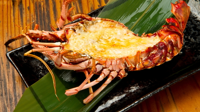 黒潮ダイニング - メイン写真: