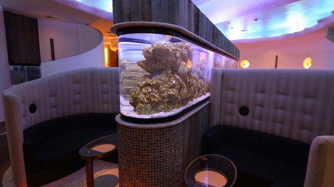 食べログ3 5以上 錦糸町の人気おすすめ居酒屋21選 用途別 めしレポ