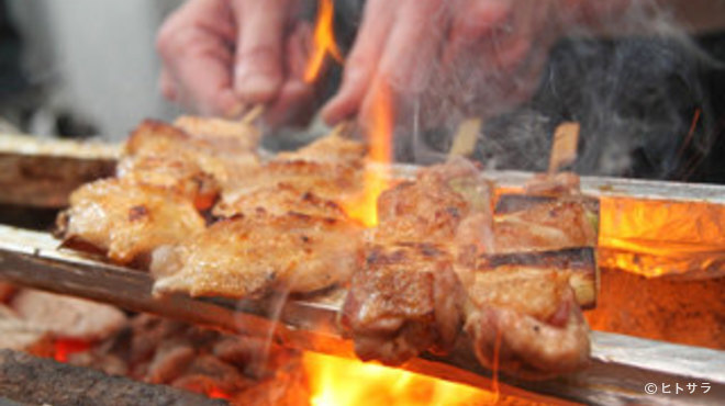 軍鶏チュー - 料理写真:炭火で焼きあげた串焼きをお楽しみ下さい