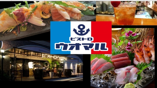 ビストロ魚丸 枚方市 居酒屋 ネット予約可 食べログ