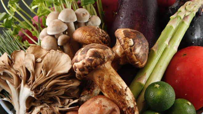 赤坂 江戸桜 - メイン写真: