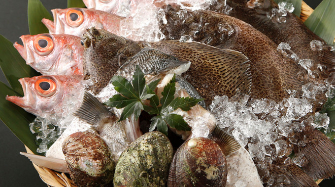 赤坂 江戸桜 - メイン写真: