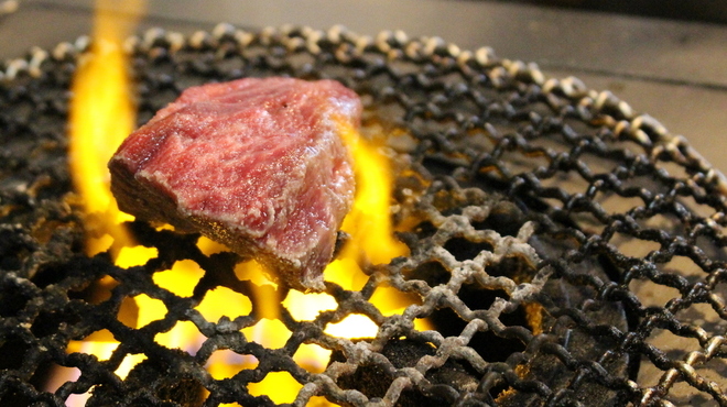 ステーキハウス フェスタ - メイン写真: