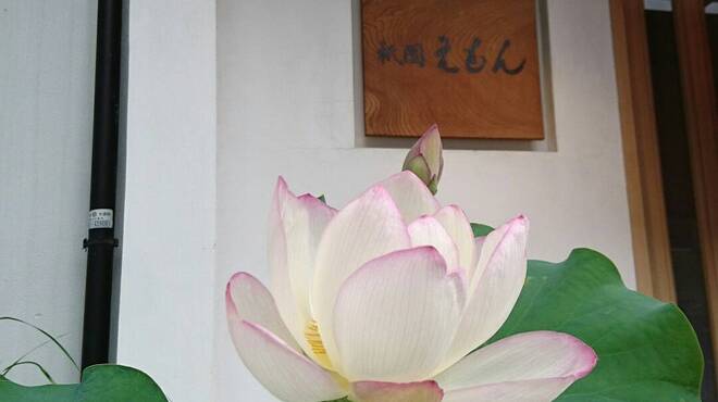 祇園えもん - 外観写真:季節によってお花が変わります