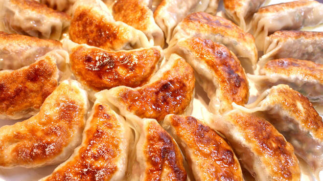 たらふく食べたい 五反田駅周辺で美味しい餃子をいただけるお店 Pathee パシー