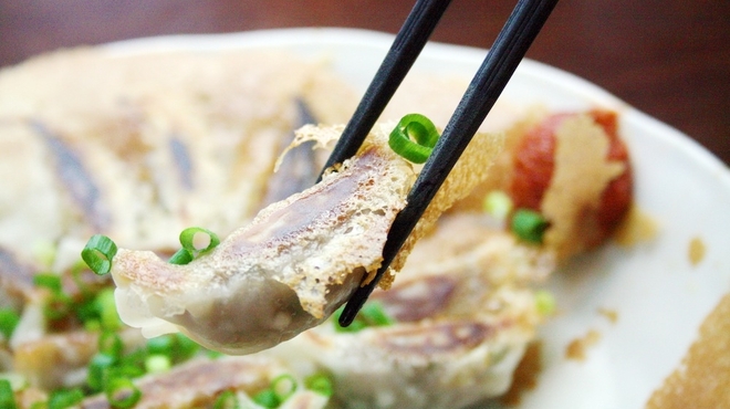 馬かもん　山形店 - 料理写真:馬肉餃子