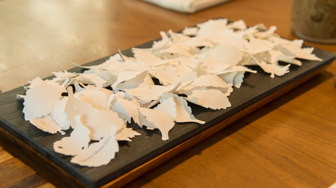 セララバアド - メイン写真: