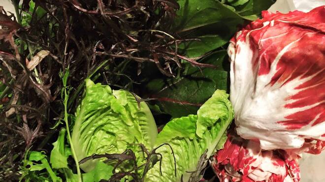 ポチロン - メイン写真: