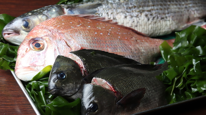 つきじ 左光 - メイン写真: