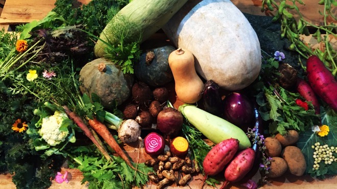 STAND BY FARM - メイン写真: