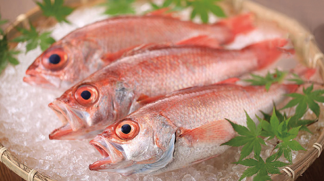 地鶏×鮮魚 個室居酒屋 もみじ庵 - メイン写真:
