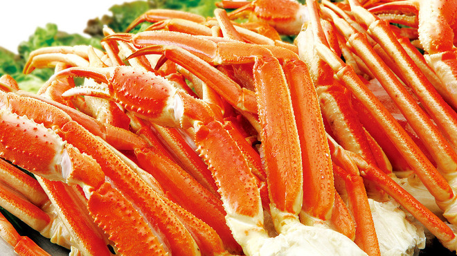 すすめ！ヴァイキング - メイン写真: