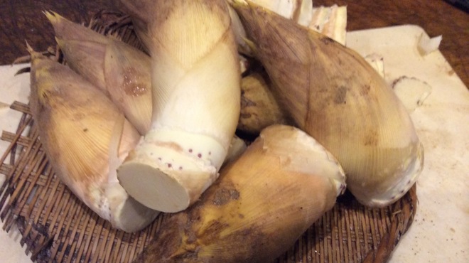 直心 - メイン写真: