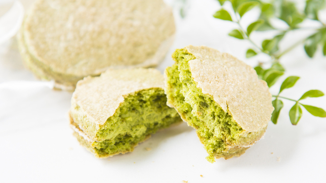 ワイルドストロベリー - メイン写真: