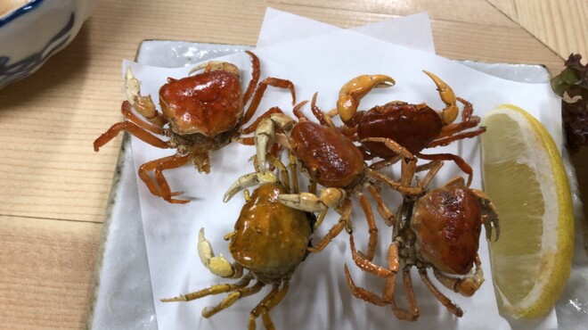 品川うお宿  - メイン写真: