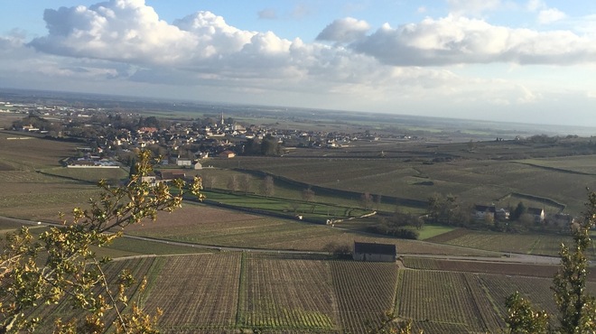 Les freres - その他写真:ブルゴーニュ景色