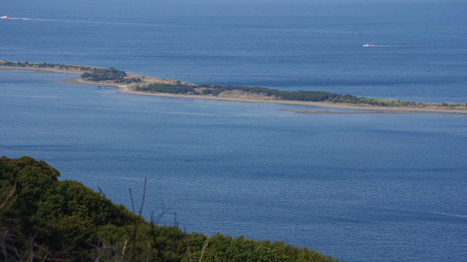 新島水産 - メイン写真: