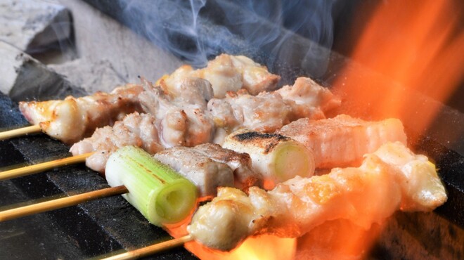 炭火焼鳥 鶴と熊 つるとくま 岡崎 焼鳥 食べログ
