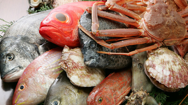 しんばし初藤 - メイン写真: