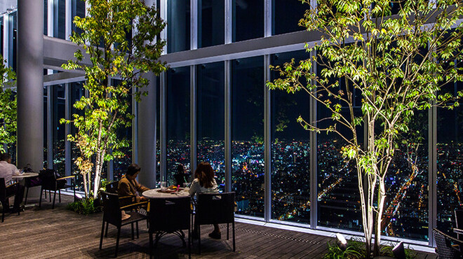 スカイガーデン300 Sky Garden300 大阪阿部野橋 ダイニングバー ネット予約可 食べログ