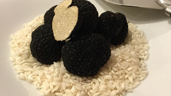 Les freres - その他写真: