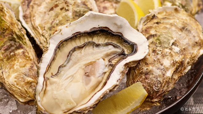 Oyster Dining Selfish - 厳選された新鮮でおいしい牡蠣をぜひお召し上がりください
