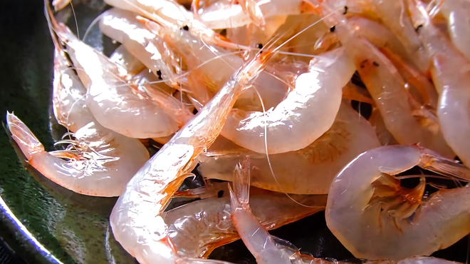 酒肴旬菜 おおあみ - メイン写真: