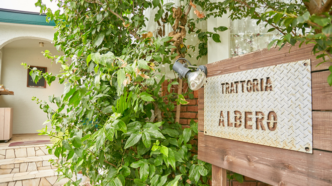 TRATTORIA ALBERO - メイン写真: