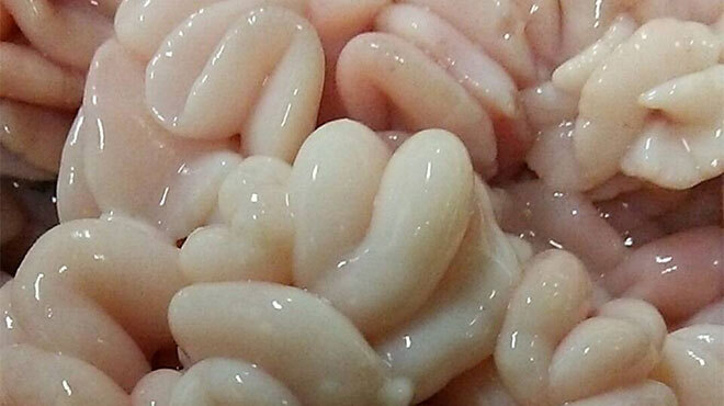 旬彩　しんすけ - メイン写真: