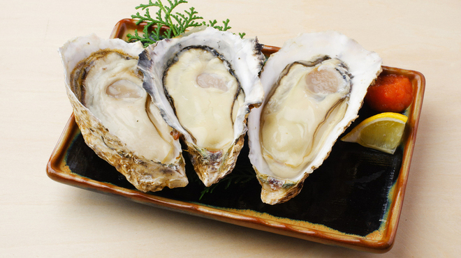 牡蛎処 桝政 - メイン写真: