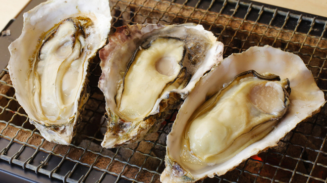 牡蛎処 桝政 - メイン写真: