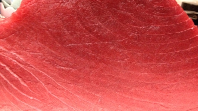 寿し処 今 - メイン写真: