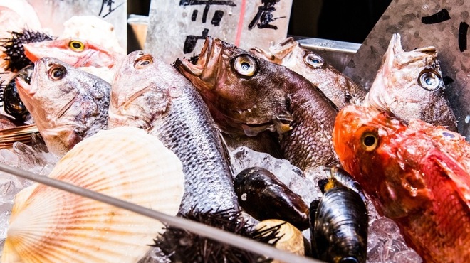 メリケンサカナ - メイン写真: