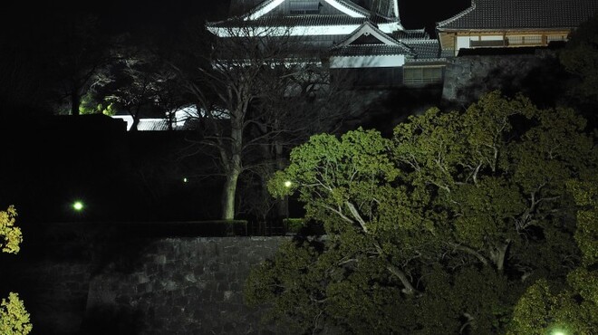 城見櫓 - 外観写真:熊本城と本丸御殿