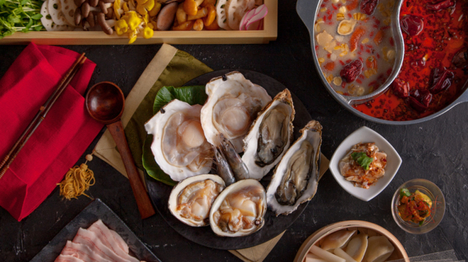 薬膳火鍋OSHIDORI - メイン写真: