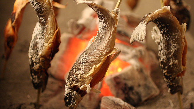 日本酒スローフード 方舟 大吟醸 いろり - メイン写真: