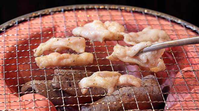 とりとん 今池店 今池 焼肉 ネット予約可 食べログ